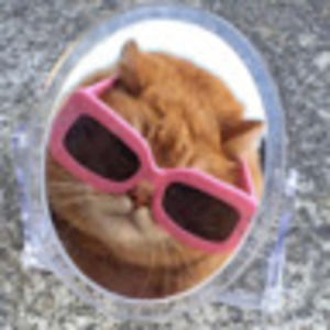 Meet your Posher, Sam